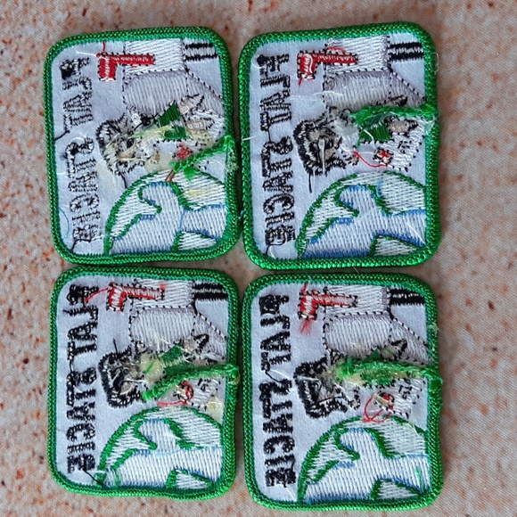 Flat Stacie - Girl Scout Fun Patch Bundle - NEW Sew On 🦋❤ - Picture 2 of 2